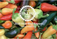 2025 Year-End Report