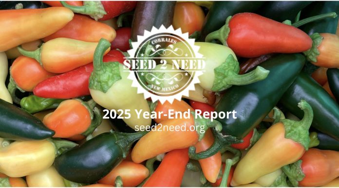 2025 Year-End Report